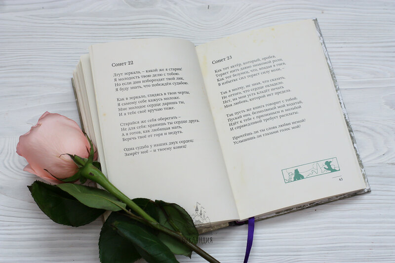 Что такое сонет - лирическое стихотворение из 14 строк. сонеты шекспира :: syl.ru