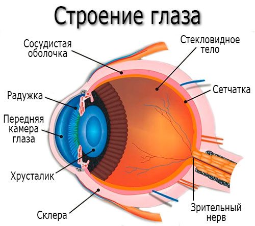 Почему катаракта так опасна и как от неё избавиться