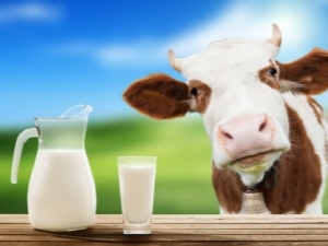 Пастеризованное молоко. что это такое, что значит, нужно ли кипятить, польза и вред, срок хранения в домашних условиях, разница гост: чем отличается от стерилизованного, ультрапастеризованного
