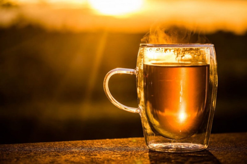 Чай ройбуш: польза и вред. состав и свойства чая ройбуш