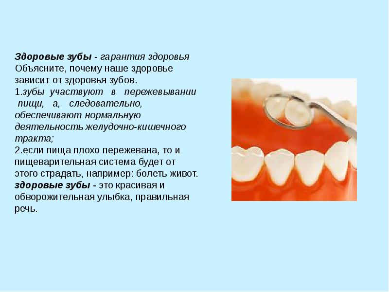Что такое зубы. важные термины и полезные сведения
