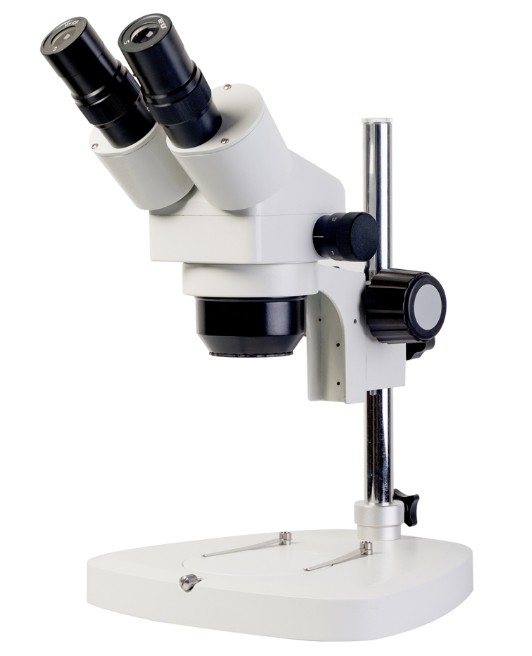 История создания микроскопа и его устройство