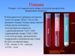 Плазма крови: что это, состав и функции, заболевания, влияющие на свойства плазмы