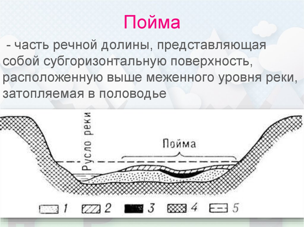 Что такое пойма реки