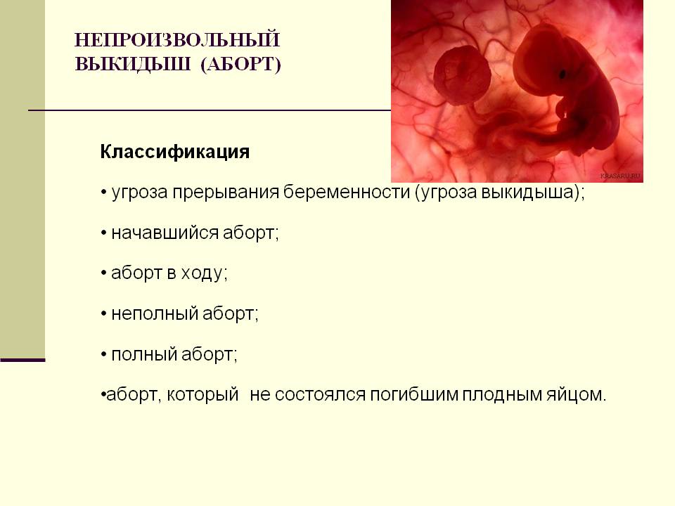 Замершая беременность: признаки в первом и втором триместрах / mama66.ru