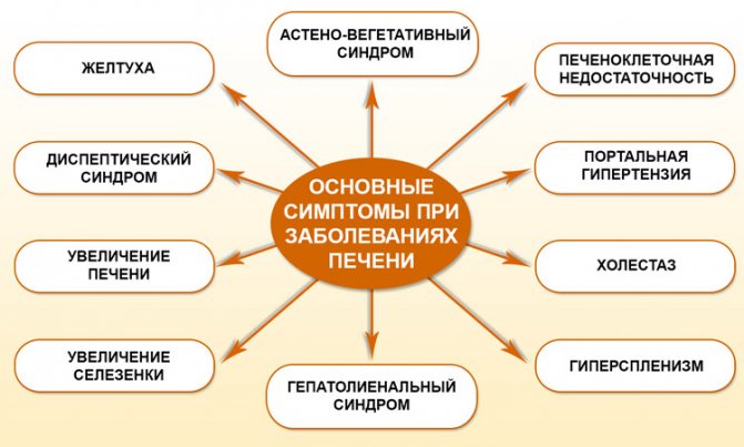 Диффузные изменения печени: классификация, причины и симптомы