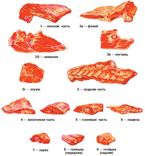 Разделка говядины: специфические особенности, части туши, виды мяса