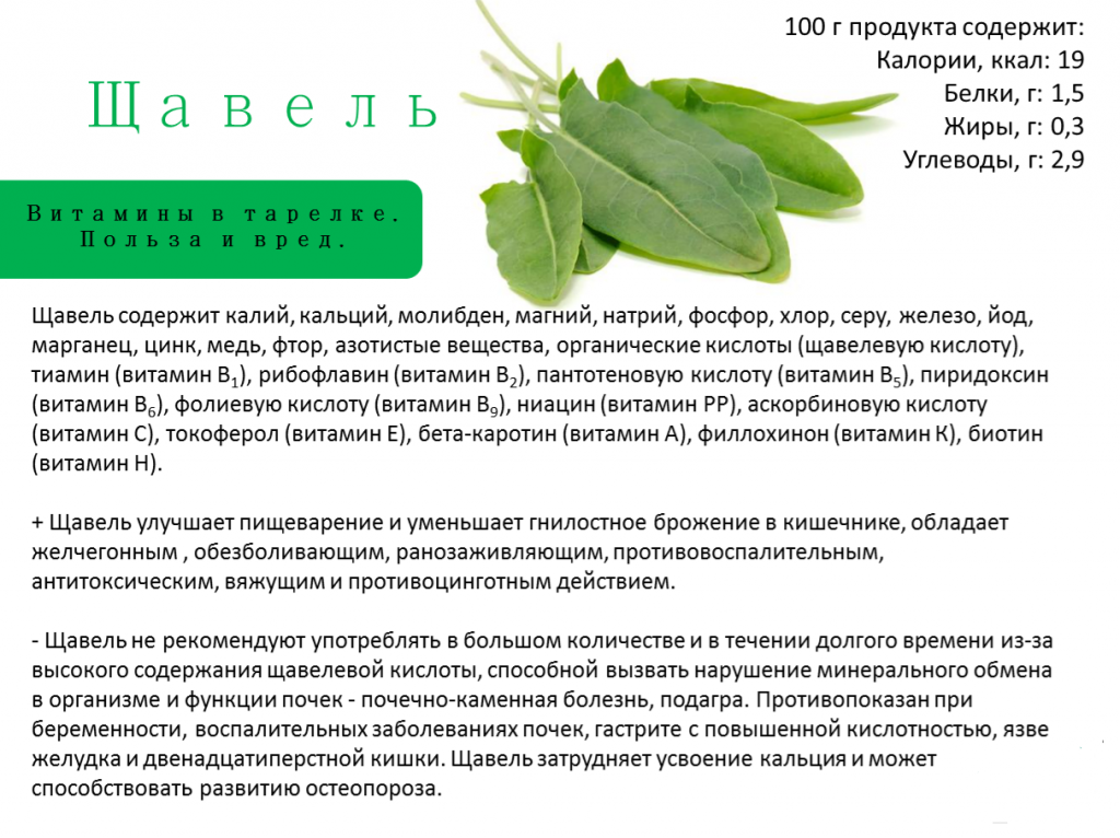 Салат чука, или водоросли вакаме: полезные свойства для здоровья, нормы и способы употребления