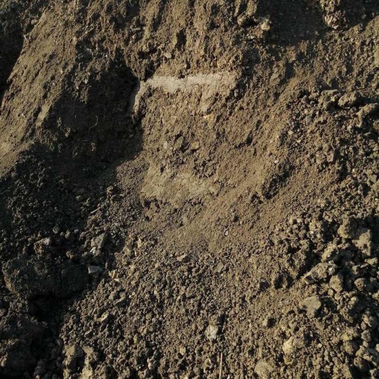 Глинистая почва на участке - ее плюсы и минусы