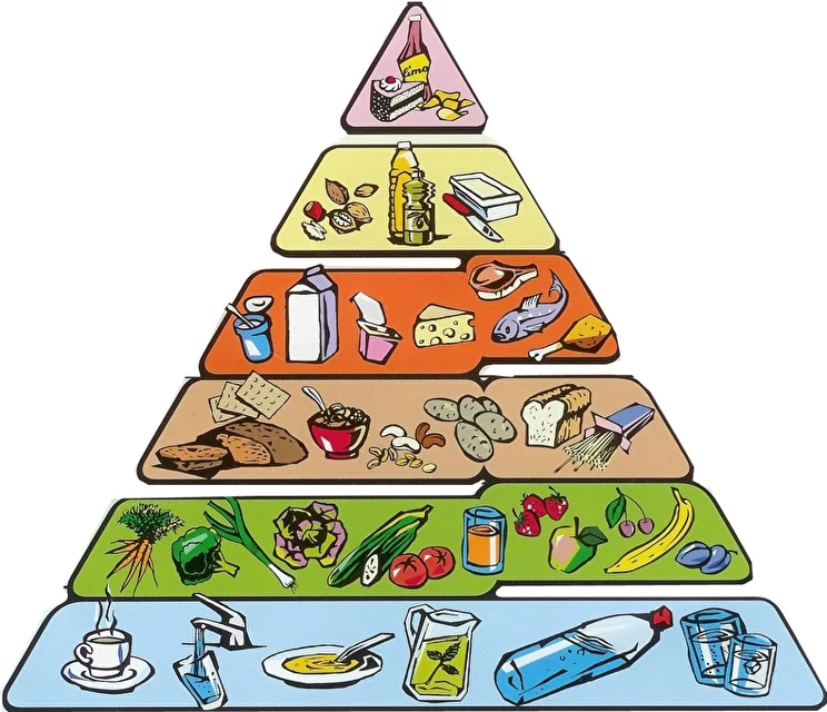 Пирамида питания теоретическая и практическая