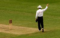 Крикет (игра) - правила игры в крикет кратко
