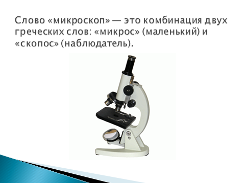 Какие типы и виды микроскопов существуют и их строение