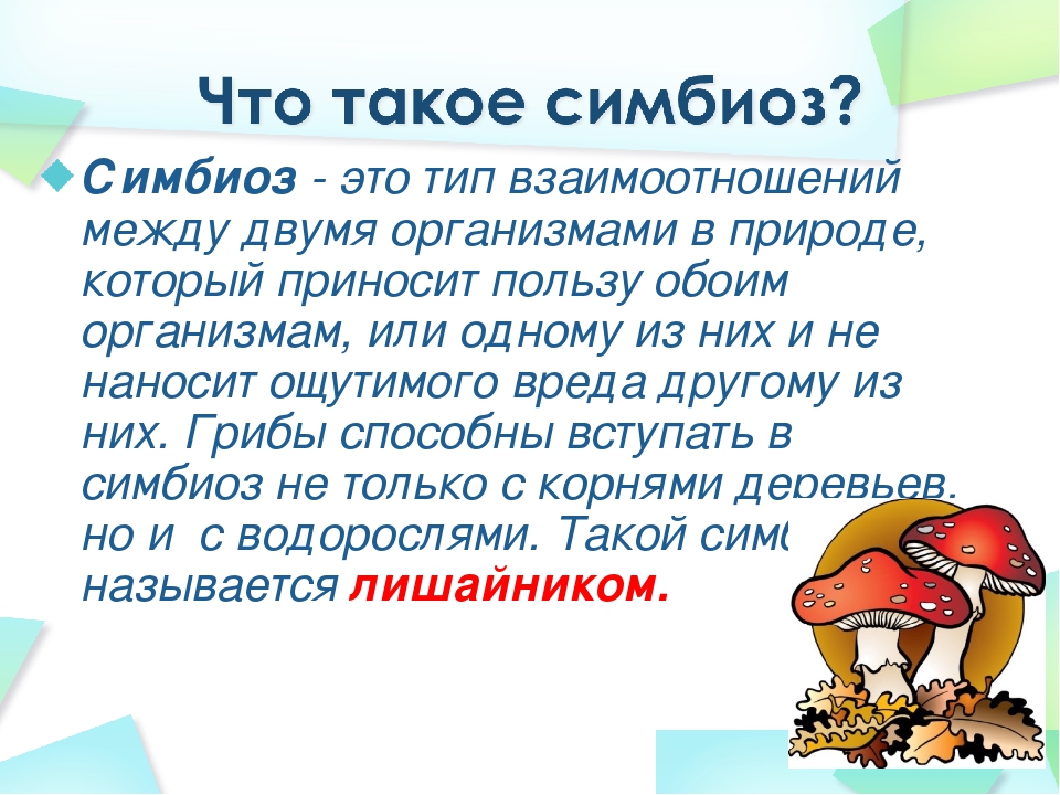 Что такое описание в биологии 5 класс. Симбиоз. Что такое симбиоз в биологии 5 класс. Симбиотические отношения это в биологии.