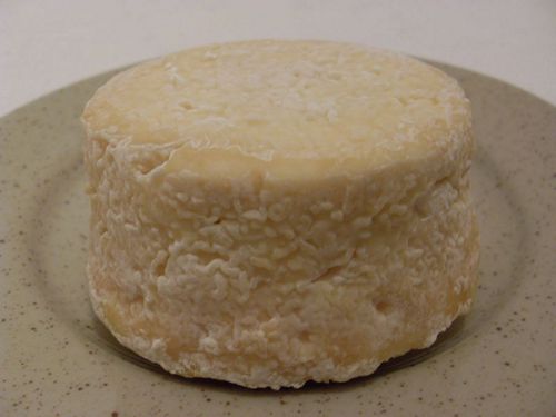 Сыр с пажитником: гурманские находки изумительного вкуса