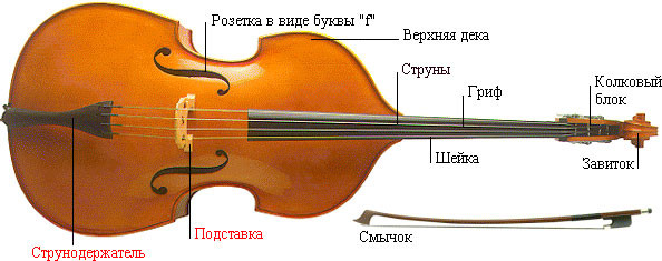 Контрабас - струнный щипковый музыкальный инструмент - фото, слушать