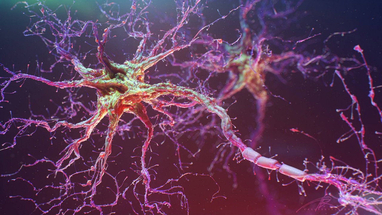 Искусственный нейрон — википедия. что такое искусственный нейрон