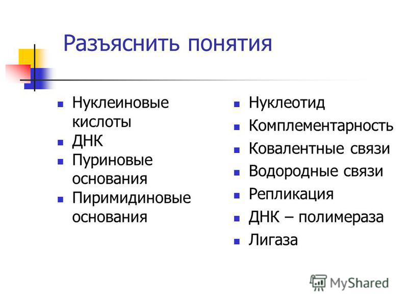 Понятие комплементарность - это :: syl.ru