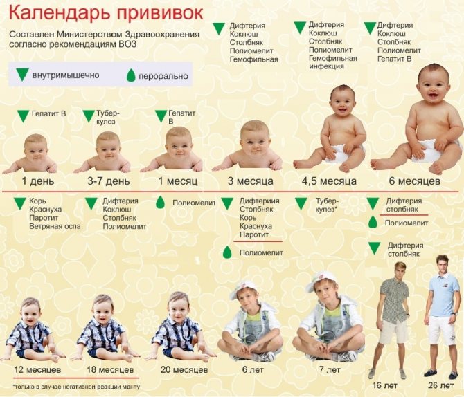 Что известно о разработанной в россии вакцине от covid-19 — российская газета