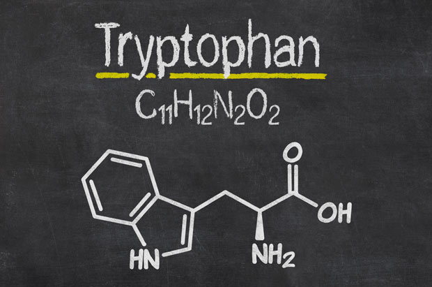 Триптофан: что это такое, таблица содержания в продуктах, употребление для похудения