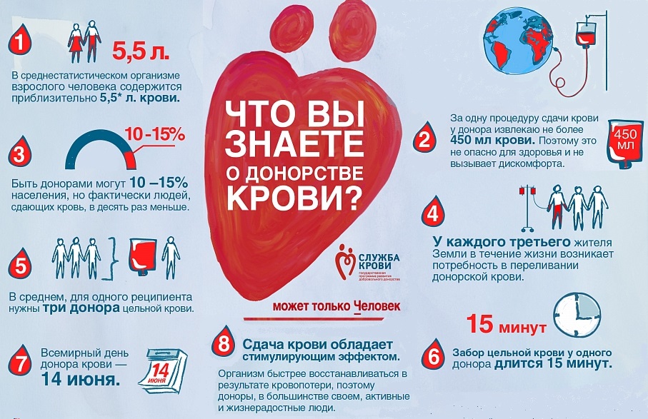 Спас на крови: как стать донором и не пожалеть об этом | статьи | известия