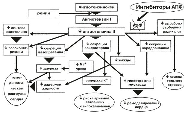 Что такое антигипертензивное действие?