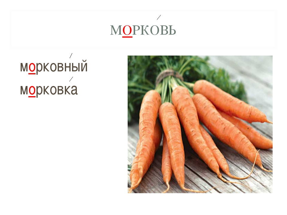 Морковь словарное слово картинка