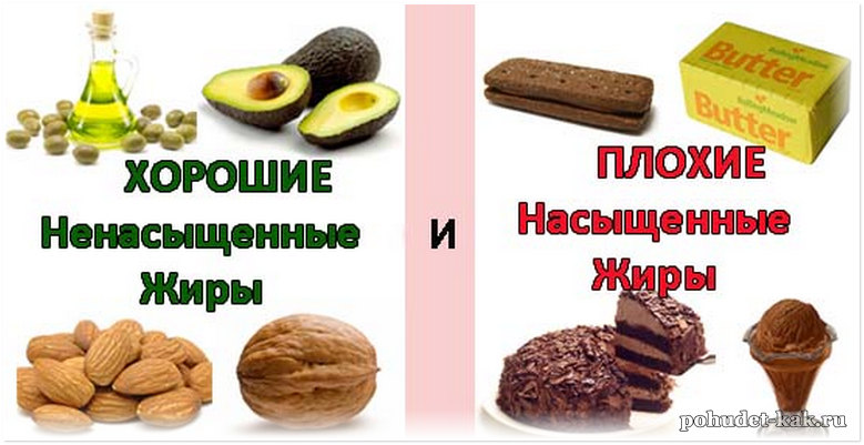 Функции жиров в организме, растительные и животные жиры в продуктах, таблица
