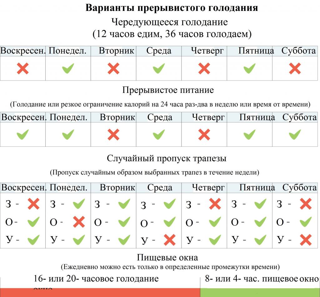 Фастинг и схема периодического голодания 16/8 | диетолог.ру