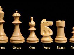 Что такое шахматы