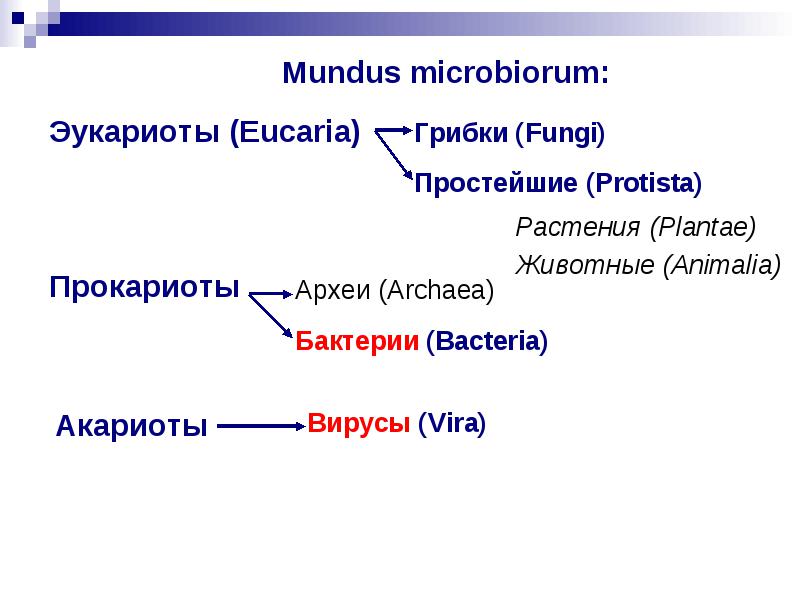 Что такое микробы и чем они отличаются от паразитов? — net-bolezniam.ru