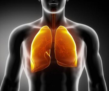 Роль дыхания и кислорода в нашем организме