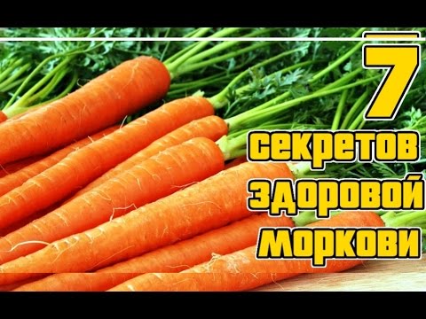 Что такое морковь