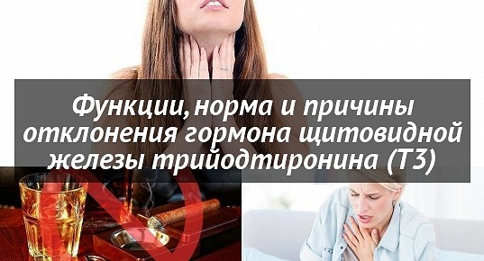 Трийодтиронин: гормон т3 свободный норма у женщин, мужчин, детей - kardiobit.ru