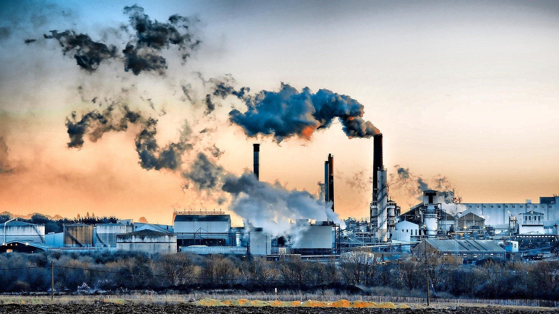 Загрязнение окружающей среды: виды, причины и последствия