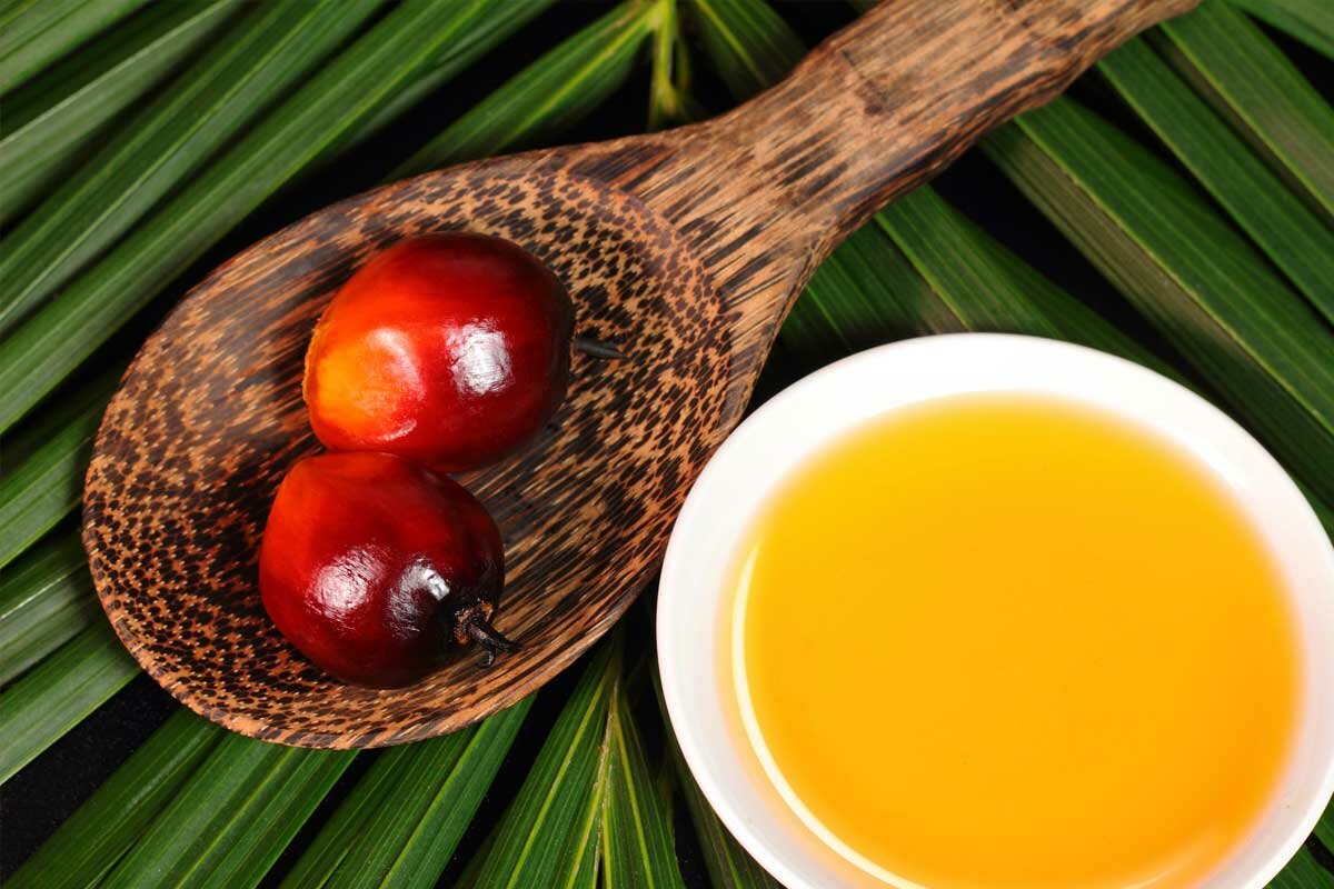 Пальмовое масло - полезные и опасные свойства