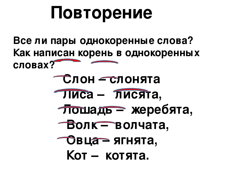 Корень слова — что такое и как его найти. что такое корень слова в русском языке
