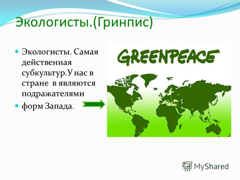 Greenpeace - цели и задачи, возникновение организации, методы и самые громкие акции, сочувствующие звезды, страны с региональными отделениями