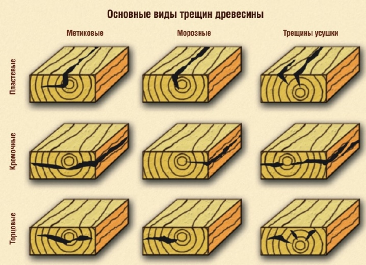 Все о пороках древесины