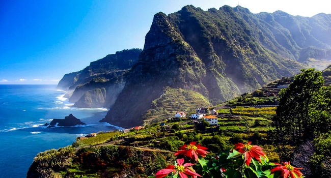Мадейра — википедия. что такое мадейра