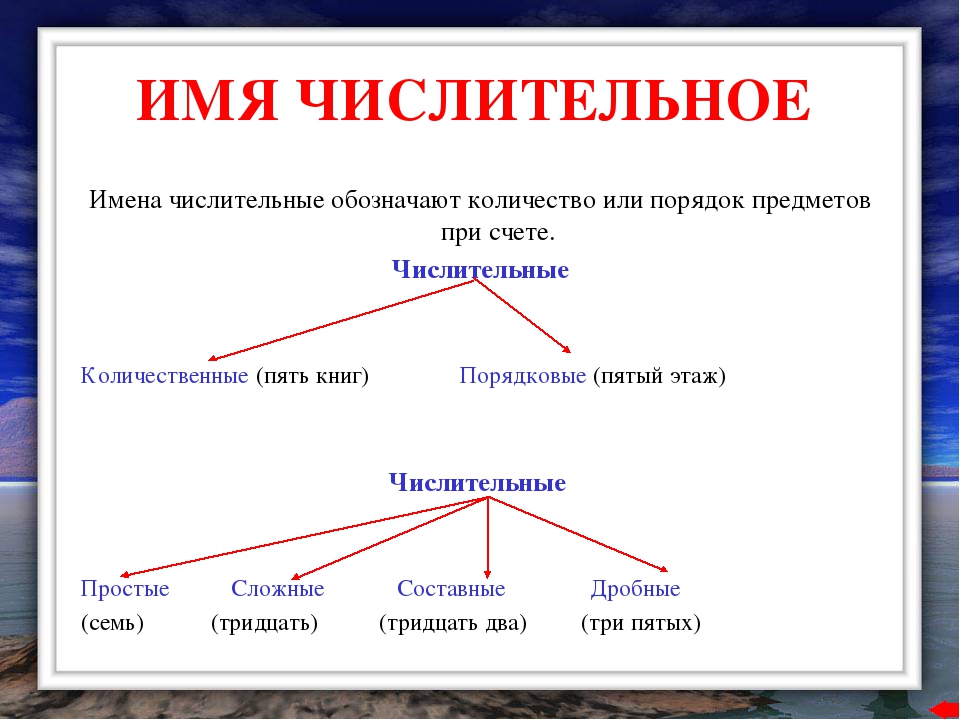 Имя числительное. числительные в русском языке: порядковые и количественные
