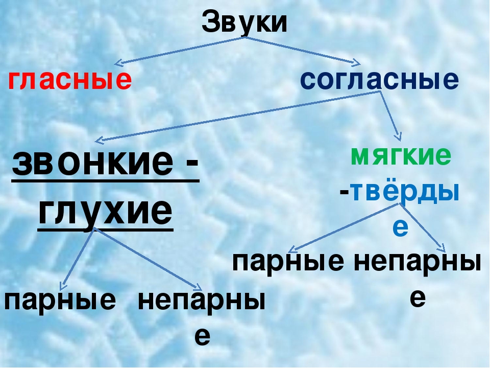 Парные согласные в русском языке: примеры, таблица. правописание парных согласных. что такое парная согласная?