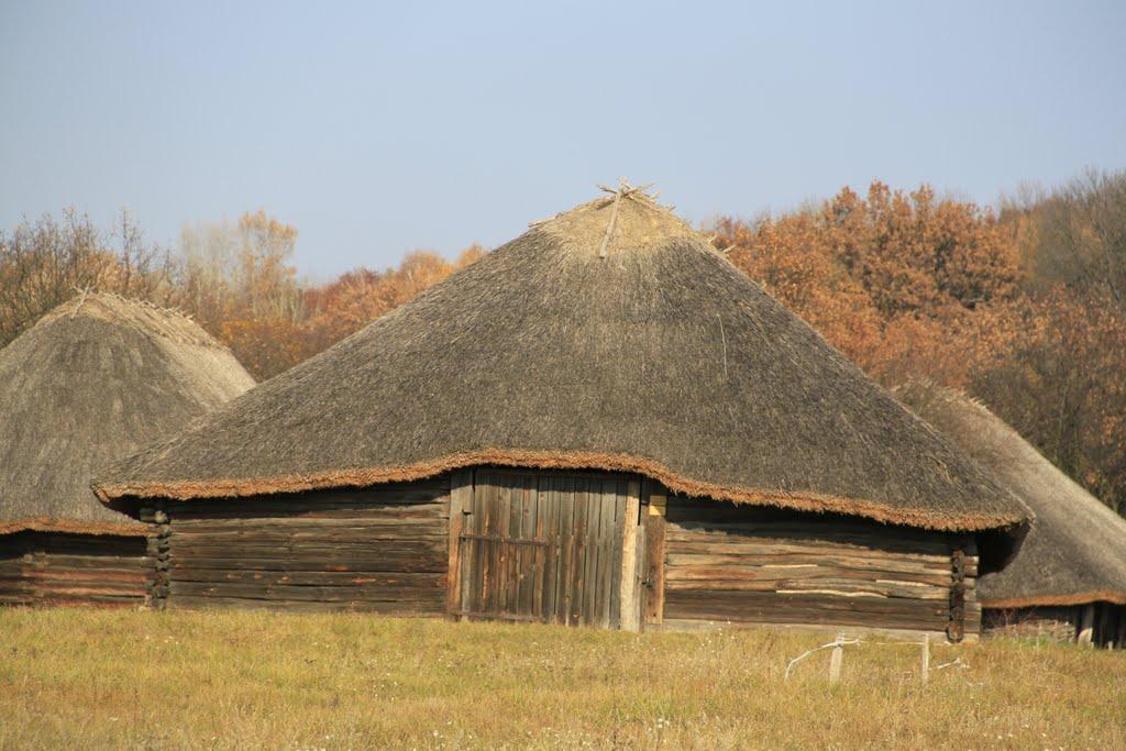 Гумно это фото