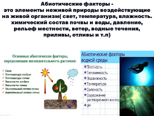Среды обитания организмов. экологические факторы: абиотические, биотические. антропогенный фактор. их значение