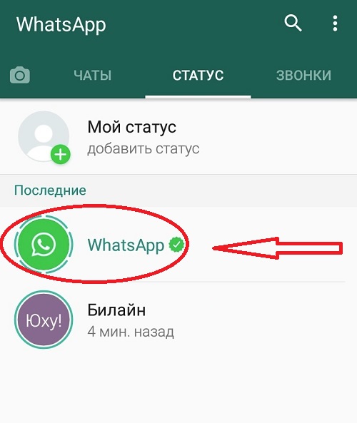 Что такое статус в whatsapp
