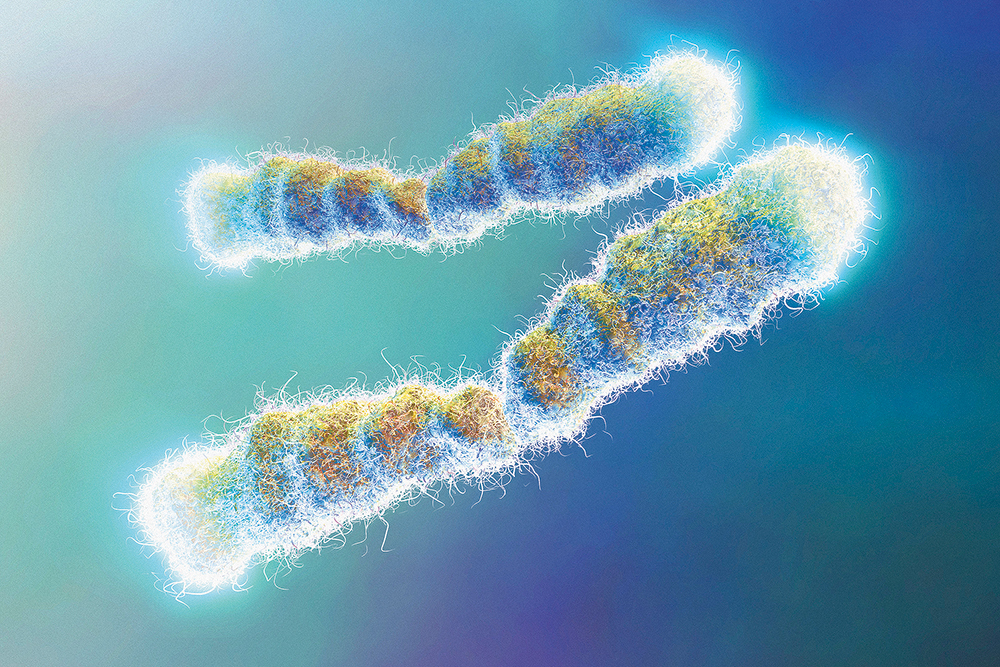 Определение хромосомы