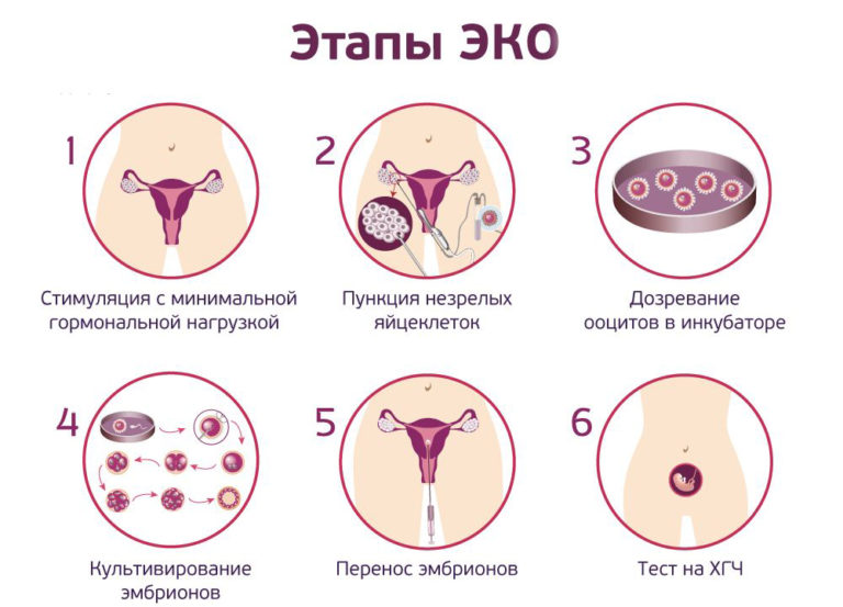 Все о зачатии ребенка: что происходит в организме женщины и как оплодотворяется яйцеклетка?