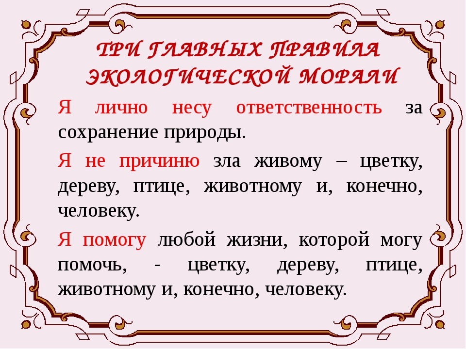 Окружающее нравственный. 3 Главных правила экологической морали. Три правила экологической морали. Главные правила экологической морали. Правило экологической морали.