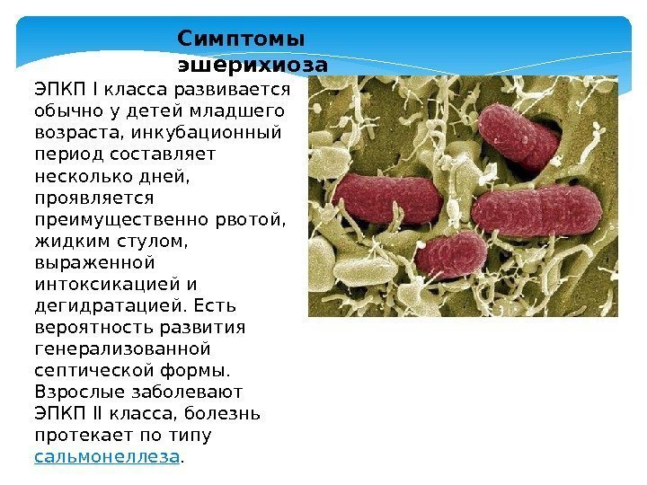 Симптомы, признаки, лечение и профилактика инфекции кишечной палочки e. coli - здоровая жизнь - 2020