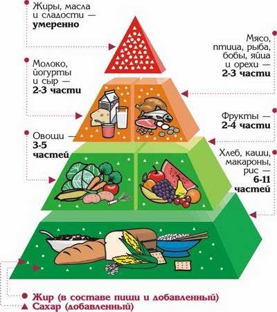 Пирамида питания — википедия. что такое пирамида питания