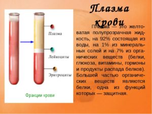 Плазма крови: что это, состав и функции, заболевания, влияющие на свойства плазмы